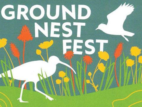Ground Nest Fest